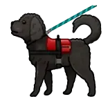 🐕🦺