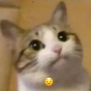 😟 cat, animal, sad, emoji telegram sticker