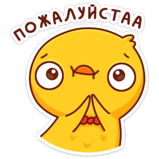 🙏 ПОЖАЛУЙСТА por favor, fofo, frango, pássaro, adesivo, desenho animado, pedido, implorando whatsapp sticker