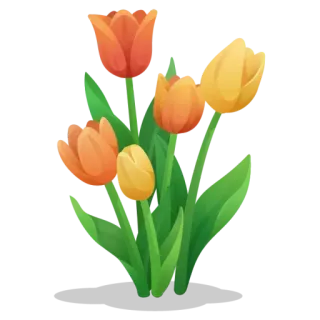 🌷 bloemen, tulpen, boeket, bloemen, lente, oranje, geel telegram sticker