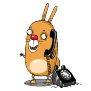 📱 coniglio, telefono, cartone animato, animale, comunicazione, umorismo, adesivo whatsapp sticker