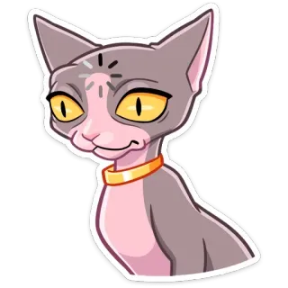🤔 cat, sphynx, animal, pet, cartoon, sticker, cute telegram sticker