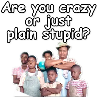 😟 Are you crazy or just plain stupid? question, insult, funny, humor telegram sticker