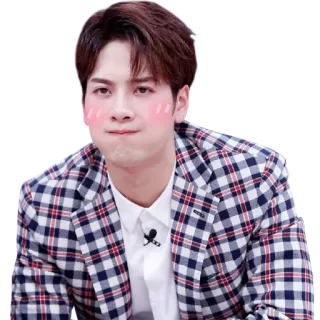 🤢 Jackson Wang kpop, singer, celebrity, person, actor, blush, jackson wang telegram sticker
