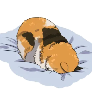 😶 mèo, động vật, ngủ, tam thể, dễ thương, thú cưng telegram sticker