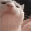 😊
