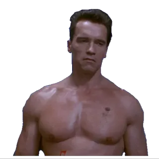 😑 Terminator อาร์โนลด์ ชวาร์เซเน็กเกอร์, แอ็คชั่น, ภาพยนตร์, ไซบอร์ก telegram sticker