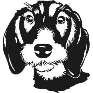 😒 강아지, 애완동물, 동물, 강아지, 귀여운, 가축 telegram sticker