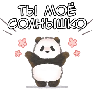Ежедневная панда @Nyasticks whatsapp stickers