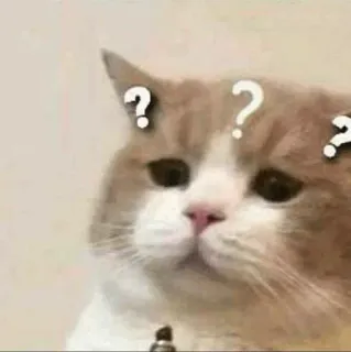 🕯 cat, question mark, confused, meme, thinking, cute, animal whatsapp sticker