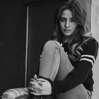 🕊 telegram sticker