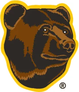🐻 ours, animal, marron, mammifère, faune, nature whatsapp sticker