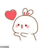 😽 lapin, lapin, cœur, mignon, amour, dessin animé whatsapp sticker