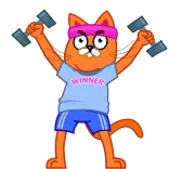 🏋‍♂️ WINNER кот, фитнес, упражнения, победитель, гантели, мультфильм, тренировка telegram sticker