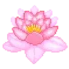 🌺