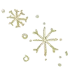 ❄