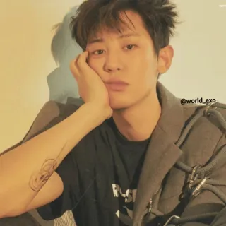 🙁 @world_exo personne, homme, portrait, Exo, K-pop, coréen, chanteur, célébrité telegram sticker
