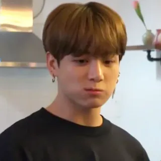 🦚 Jungkook person, kpop, singer, asian telegram sticker
