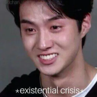 😭 *existential crisis* crisis existencial, meme, divertido, llorando, sonrisa, emociones telegram sticker