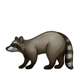 🦝
