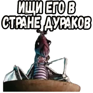 👉 ИЩИ ЕГО В СТРАНЕ-ДУРАКОВ animasi, karakter, rusia, film, movie telegram sticker