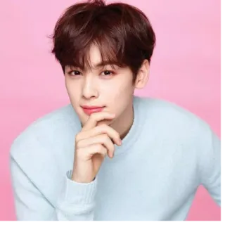 🤔 Cha Eun-woo Kpop, Idole, Acteur, Astro, Chanteur, Beau whatsapp sticker