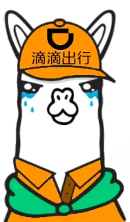 🚜 滴滴出行 лама, плачет, оранжевый, шляпа, мультфильм whatsapp sticker