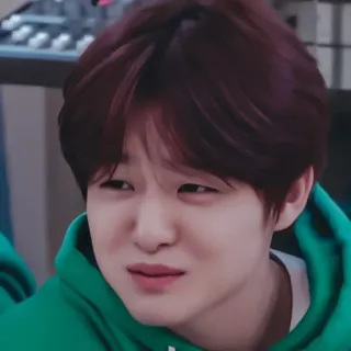 🐼 whatsapp sticker