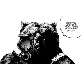🐻 WHAT? YOU LOOK LIKE YOU'VE NEVER SEEN A BEAR BEFORE. urso, arma, violência, animal, arma de fogo, meme, armas, ofensivo telegram sticker
