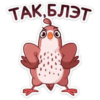 🤨 ТАК, БЛЭТ bird, anger, cussing, russian, cartoon, animated telegram sticker
