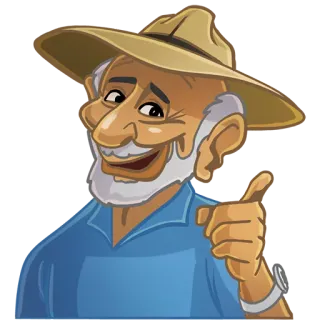 😉 homme, chapeau, montrer, dessin animé, sourire, heureux whatsapp sticker