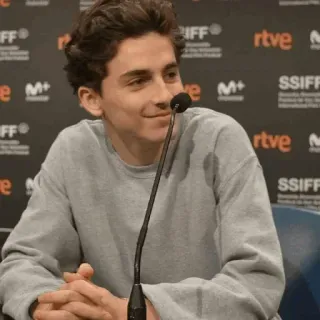 📯 Timothée Chalamet Timothée Chalamet, acteur, célébrité, interview, portrait, homme, personne telegram sticker