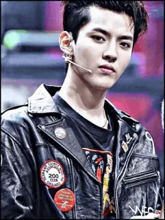 ➖ Kris Wu K-pop, cantante, attore, musicista, celebrità telegram sticker