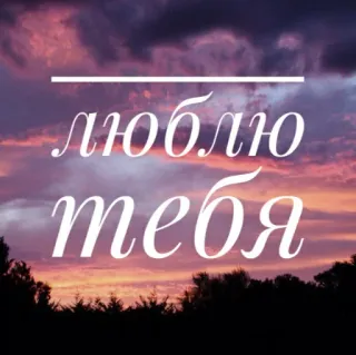 💜 люблю тебя amour, russe, coucher de soleil, romantique, affection whatsapp sticker