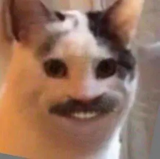 🥸 cat, meme, funny, mustache, animal, pet, humor telegram sticker