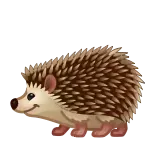 🦔