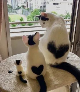 🤔 Katze, Katzen, Tiere, süß, Herz, Spielzeug telegram sticker