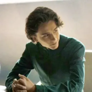 😐 Paul Atreides Dune Dune, Paul Atreides, Timothée Chalamet, science fiction telegram sticker