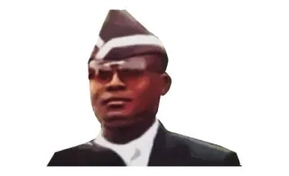 😐 抬棺舞, 梗, 跳舞, 葬礼, 抬棺人, 非洲 telegram sticker