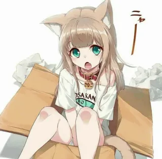 🧡 OSAKAN Anime, Dziewczyna, Kocica, Pudełko, Kawaii, Słodkie, Manga, Osaka telegram sticker