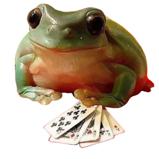 ❤️ sapo, pôquer, cartas de baralho, jogo de azar, animal, jogo, sorte, azar whatsapp sticker