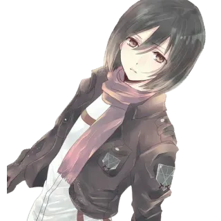 😕 Mikasa Ackerman Attack on Titan Anime, Meisje, Personage, Sjaal, Militair, Jas telegram sticker