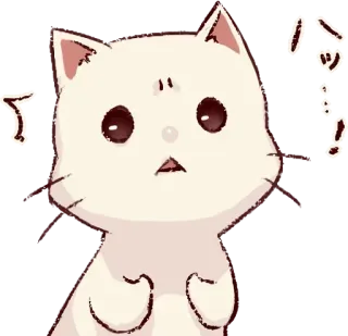 🐰 バッ! แมว, สัตว์, น่ารัก, สติกเกอร์, การ์ตูน, ญี่ปุ่น telegram sticker