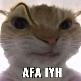 🤨 AFA IYH telegram sticker