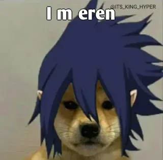 👀 Eren I m eren eren, doge, meme, anime, cane, divertente telegram sticker