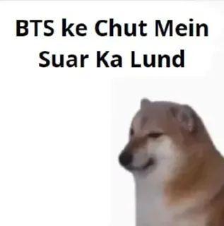 🌟 BTS ke Chut Mein
Suar Ka Lund doge, Meme, anstößig, Humor whatsapp sticker