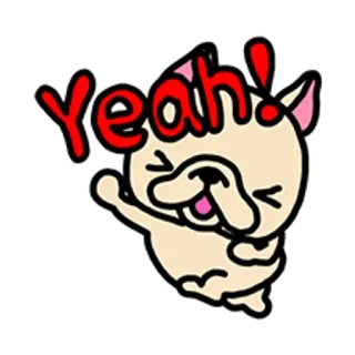🐶 Yeah! gatto, cartone animato, positivo, felice, carino, animale telegram sticker