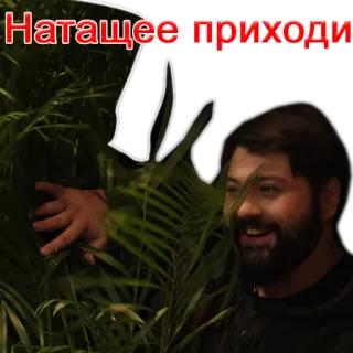 😁 Натащее приходи telegram sticker