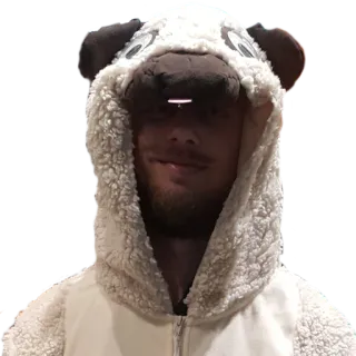 🐶 cane, costume, felpa con cappuccio, pigiama, animale, persona, ritratto telegram sticker