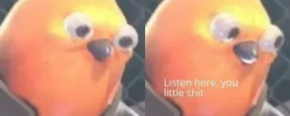 🤔 Listen here, you little shit uccello, offensivo, meme, arrabbiato, divertente, merda telegram sticker